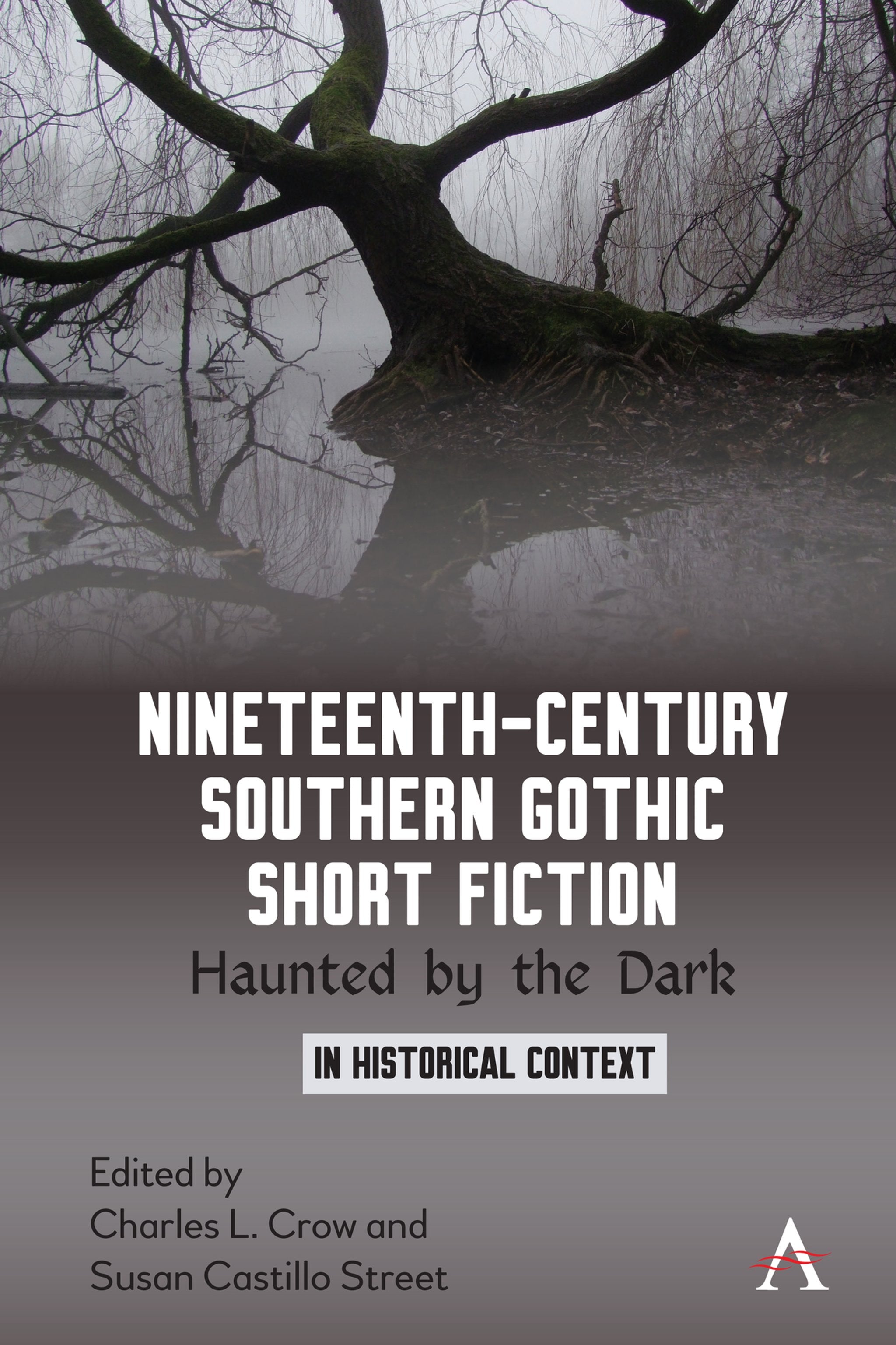 Cover image for Nineteenth-Century Southern Gothic Short Fiction ISBN 9781785273896